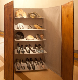 Shells and Shoes Collection, 2008
