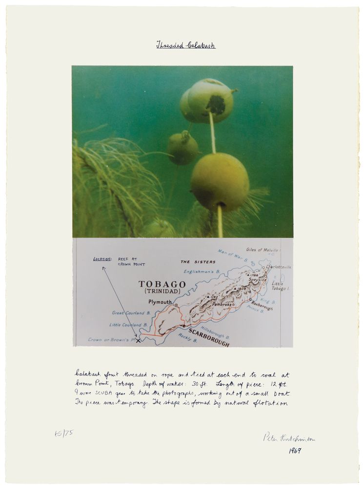 Stories and Natural Histories
