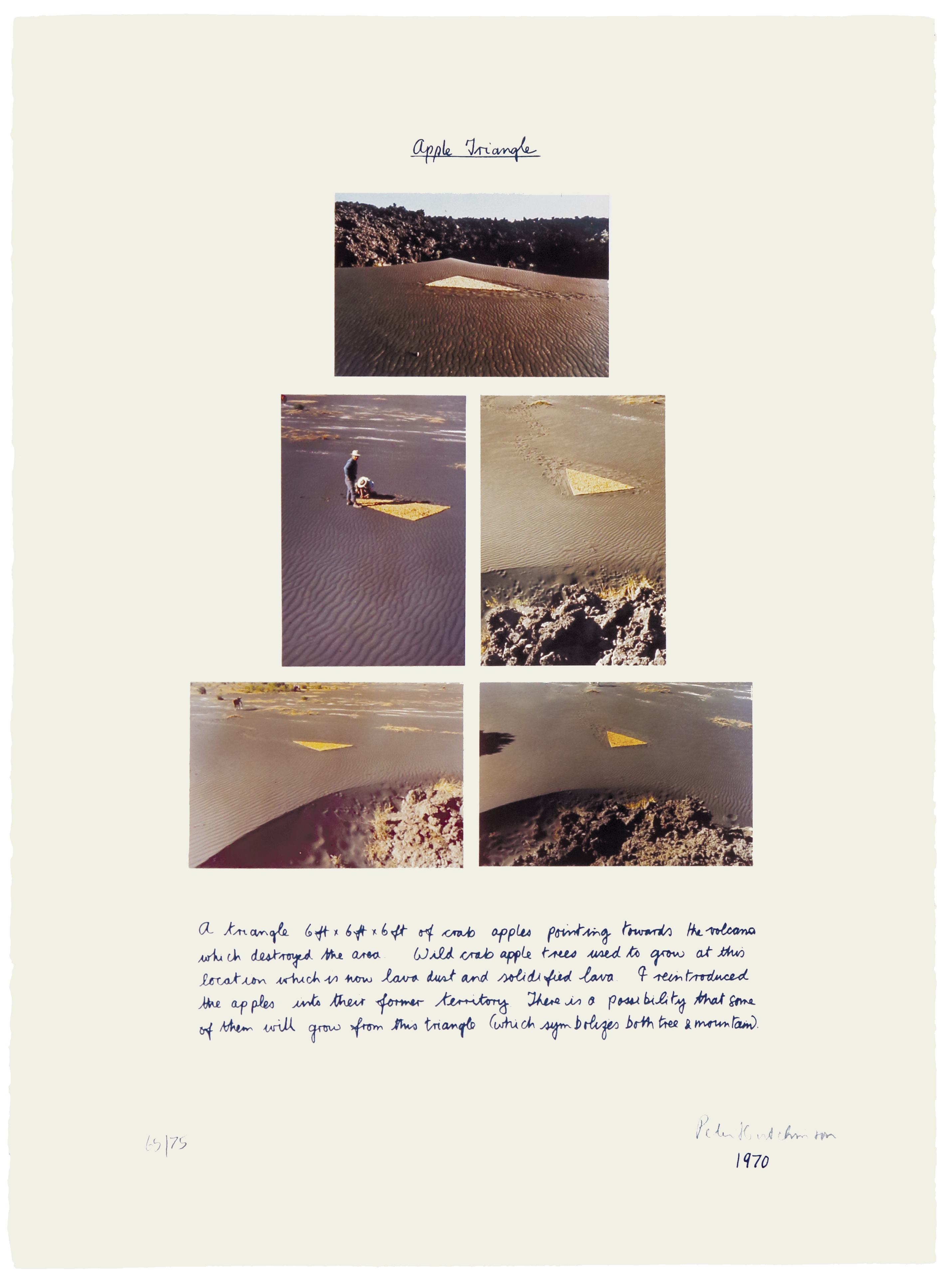 The work consists of a combination of text and pictures. The pictures show a triangle of apples on the beach.