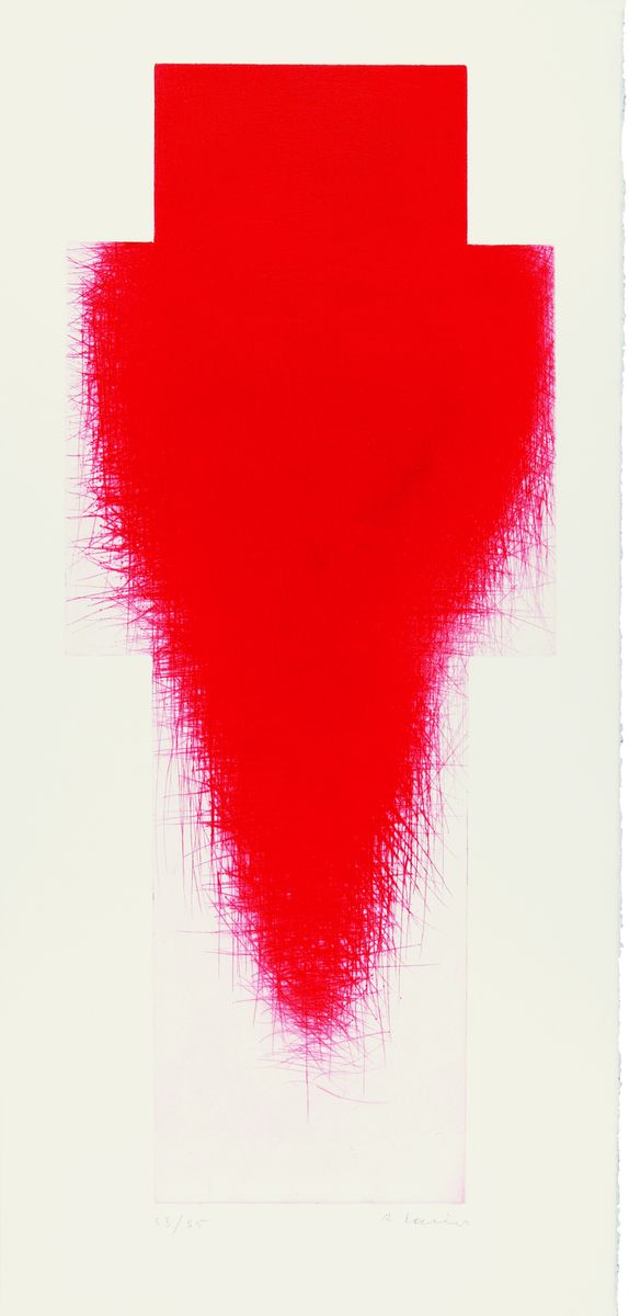 Ein Bild mit weißem Hintergrund. In der Mitte ist ein roter Fleck bestehend aus kleinen Strichen.