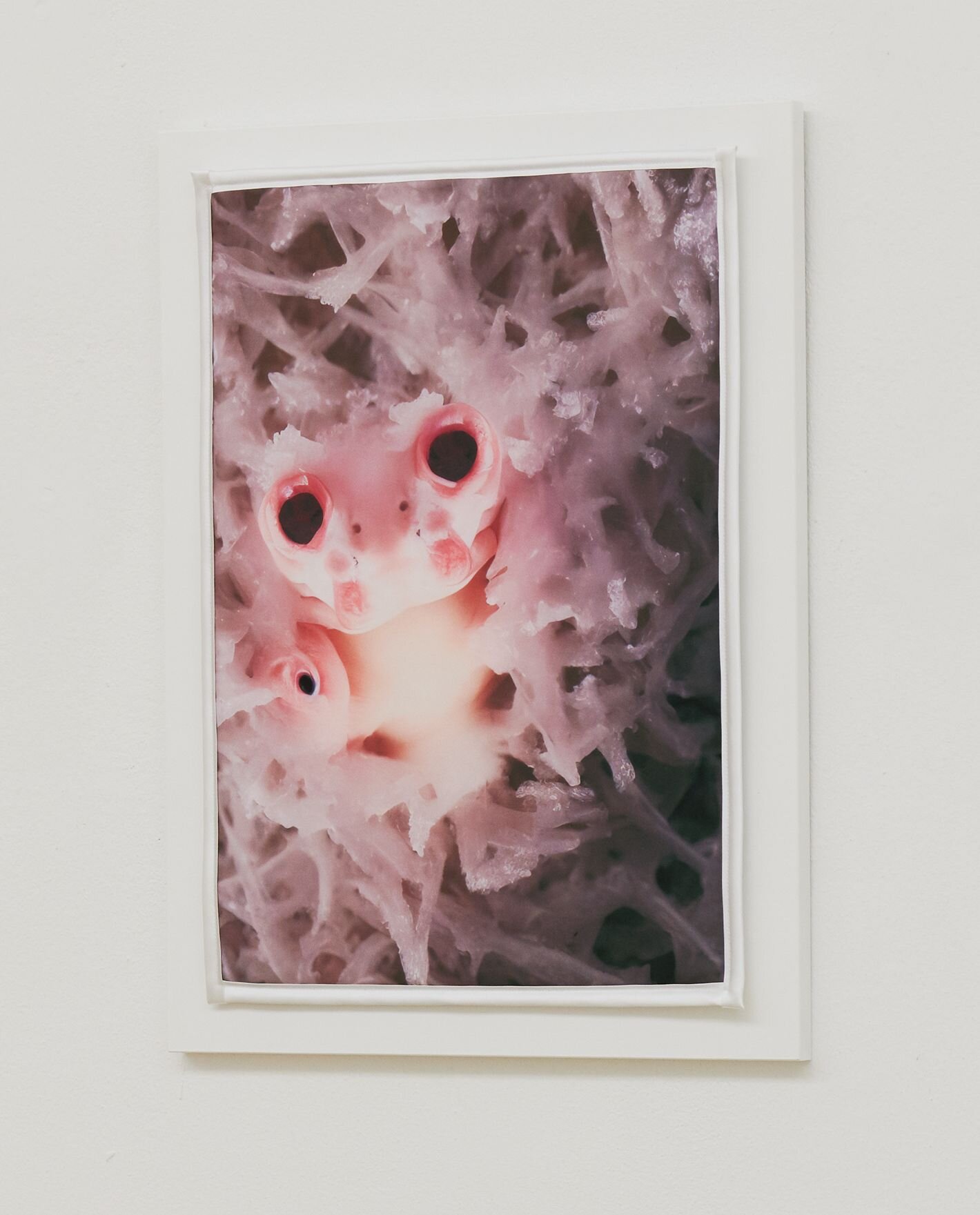 Pink image of an alien-like creature with large, dark eyes