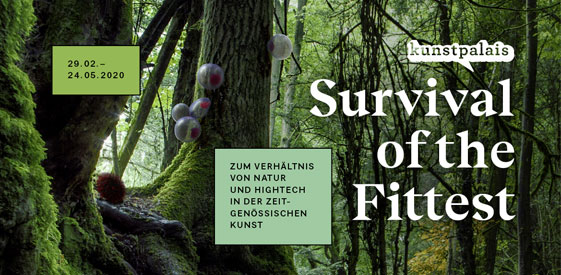 Bild aus dem Wald mit Bläschen an einem Baum und die Daten der Ausstellung