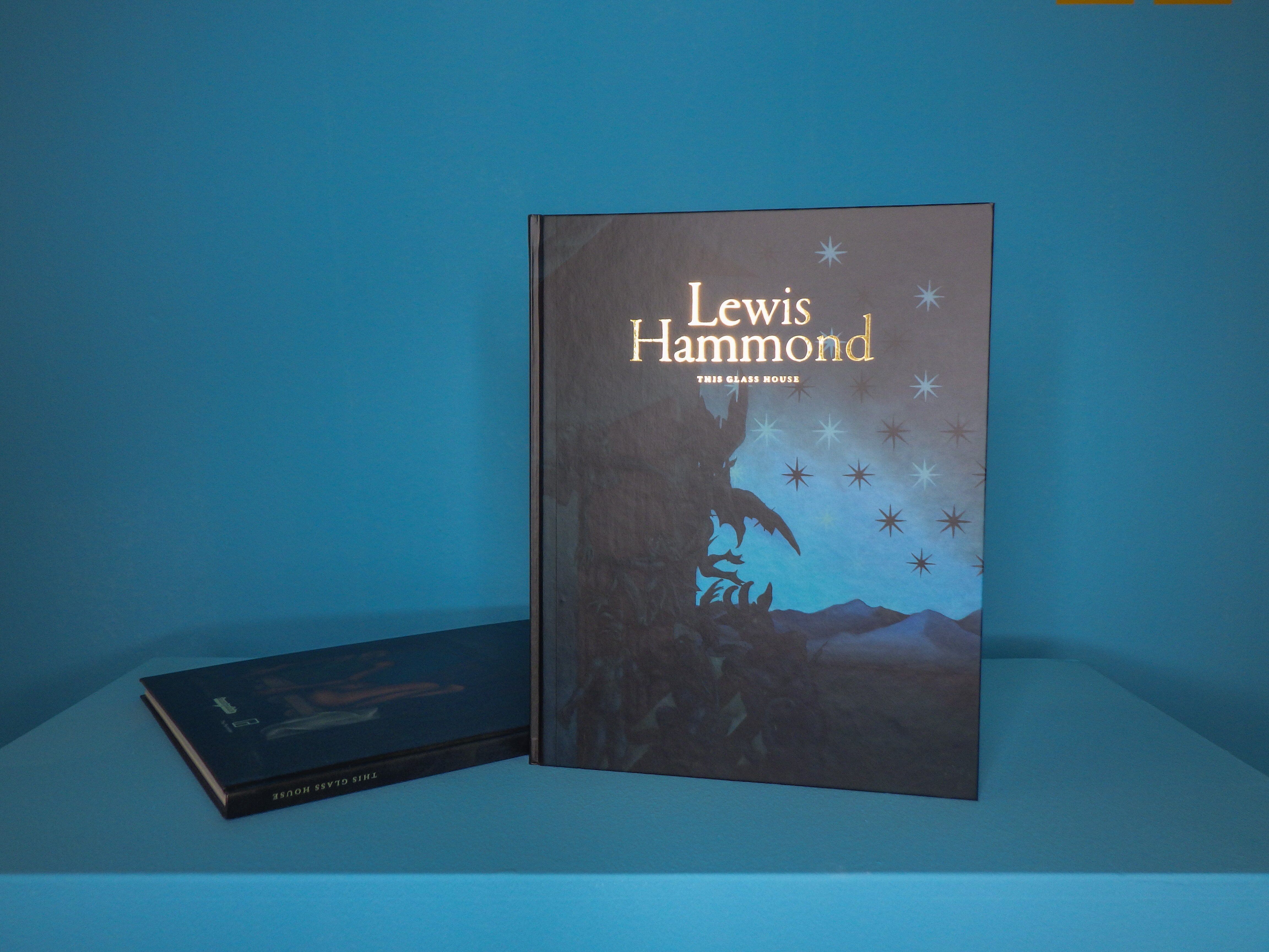 Photo from the catalogue ‘Lewis Hammond. This Glass House’. The book is blue with motifs and the title is gold-coloured. 
